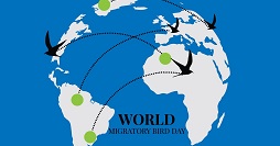 Giornata mondiale uccelli migratori